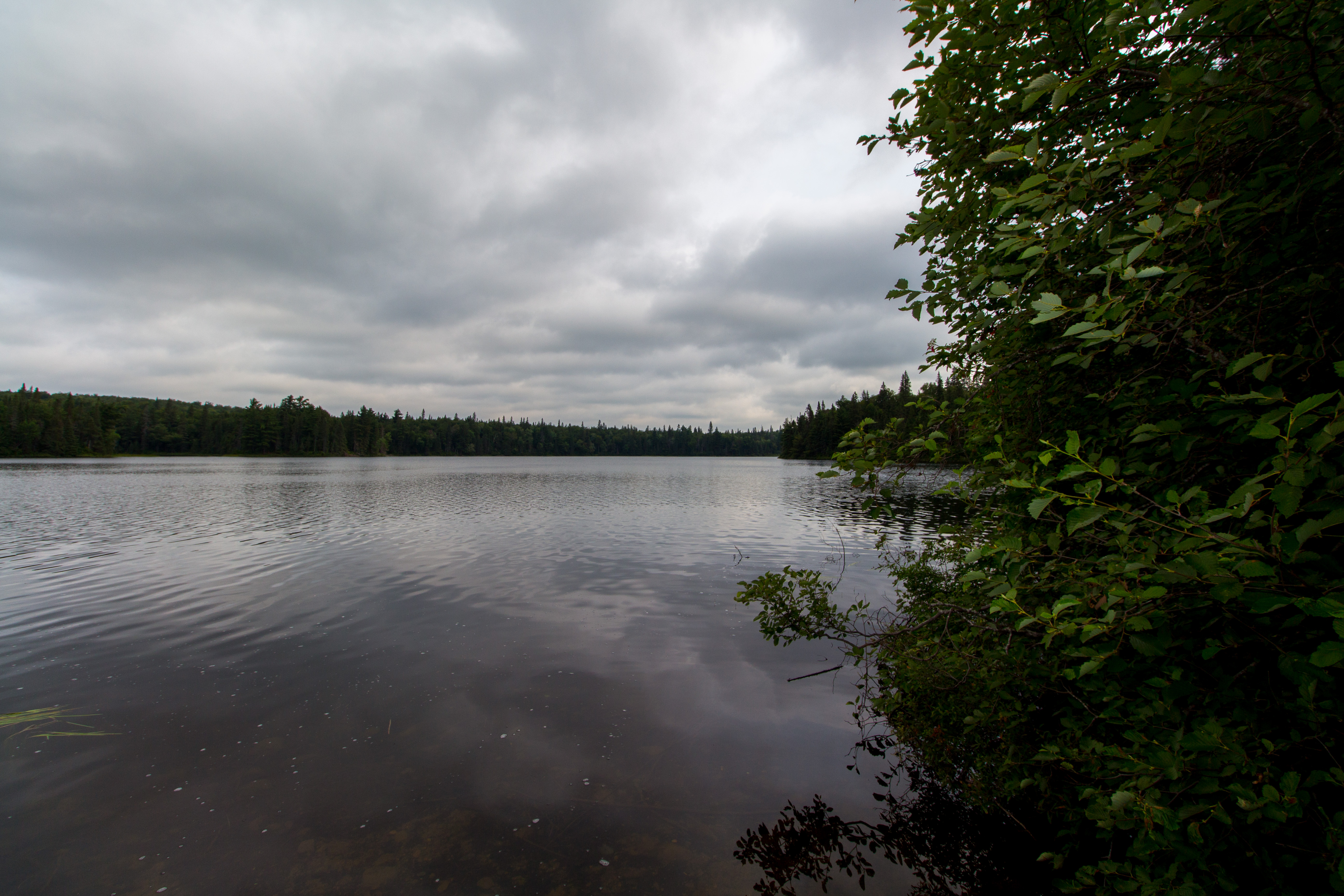 Looking out to Rain Lake from the Portage entrance to Little McCraney Lake